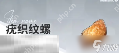 开放空间赶海物什么时候出现 赶海物出现时间介绍