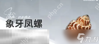开放空间赶海物什么时候出现 赶海物出现时间介绍
