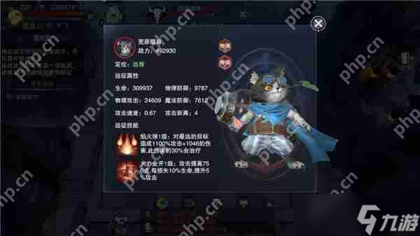 新神魔大陆魔宠远征攻略