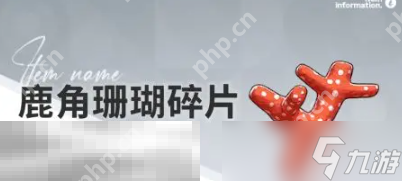 开放空间赶海物什么时候出现 赶海物出现时间介绍
