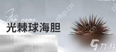 开放空间赶海物什么时候出现 赶海物出现时间介绍