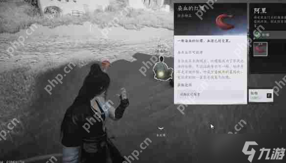 燕云十六声红缨任务全流程详解：轻松获取染血红缨攻略