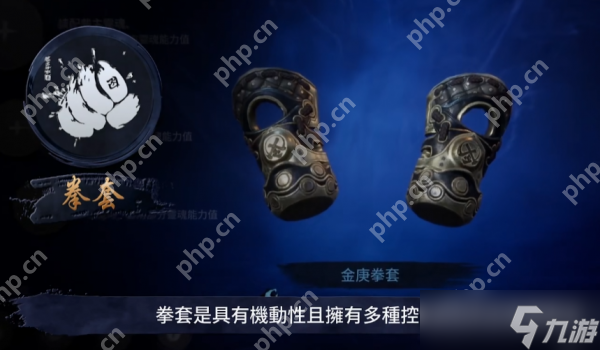 剑灵2拳师怎么样 剑灵2拳师职业介绍