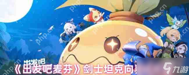 麦芬剑士坦克养成秘籍,开启防御核心之路