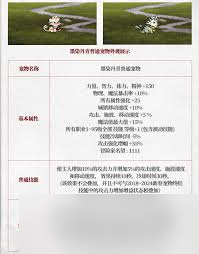 DNF2025五一套宠物属性是什么