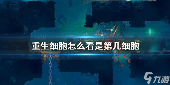 重生细胞如何查看几细胞,掌握游戏阶段查看诀窍
