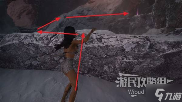 《光与影33号远征队》雪结获取方法 雪结怎么获得