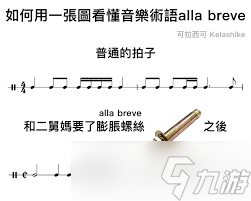 深度解析：乐点改进的关键内涵与意义
