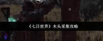 七日世界如何采集木头