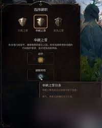 博德之门3王冠之誓圣武士如何升级解锁能力