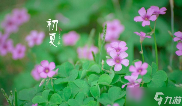 海龟汤题目大全一览