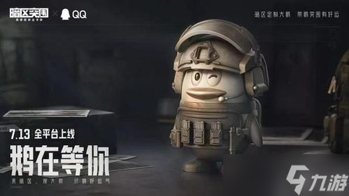 暗区突围大鹅效果说明暗区突围大鹅有什么用「暗区突围大鹅的兑换码」