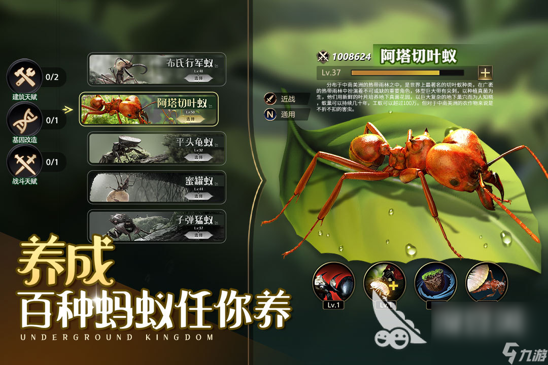 小时候玩的一个企鹅的游戏叫什么 2025有趣的企鹅游戏排行榜分享