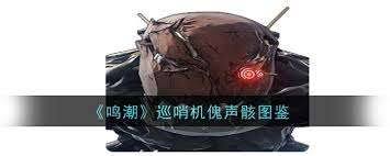 鸣潮2.1巨布偶声骸属性是鸣潮什么