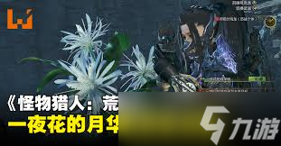 怪物猎人荒野一夜花的月华粉怎么速刷
