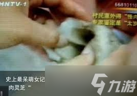 惊爆 女记者与太岁背后竟藏如此惊人秘密