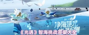 光遇智海挑战答案是什么