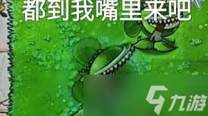 植物大战僵尸杂交版商店副本中蜗牛大嘴花怎么通关