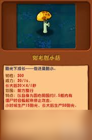 植物大战僵尸杂交版商店副本唱片机胆小菇怎么通关