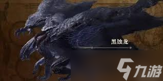 怪物猎人荒野黑蚀龙双刀怎么打