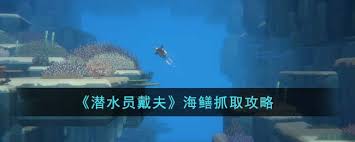 潜水员戴夫怎么抓海鳝
