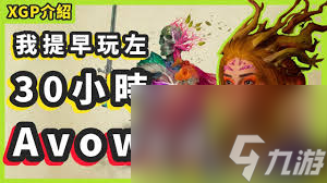 宣誓同伴系统怎么运作