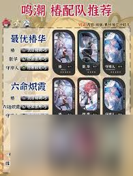 鸣潮椿如何进行配队