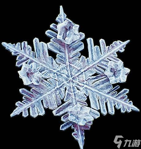 《光与影33号远征队》吕涅雪结获取方法 雪结属性及词条介绍