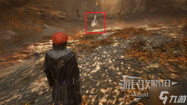 《光与影33号远征队》吕涅树液结获取方法 树液结属性及词条一览