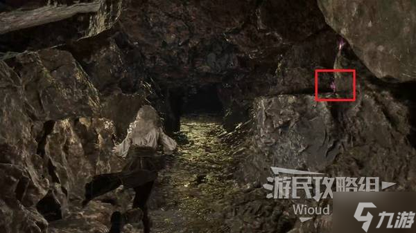 《光与影33号远征队》熙艾尔双禽首获取方法 双禽首属性及词条一览