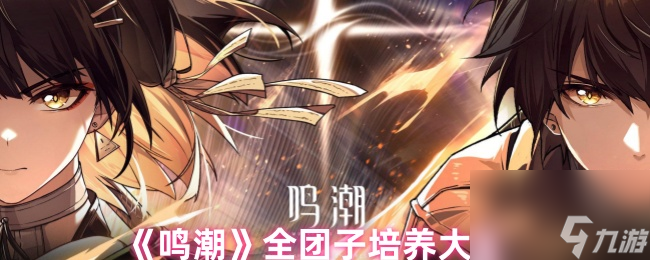 《鸣潮》全团子培养大全