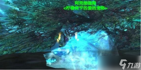 《魔兽世界》诺森德猎人稀有宠物介绍