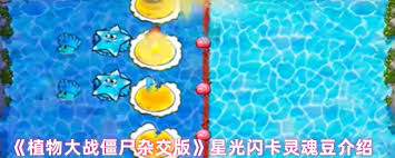 植物大战僵尸杂交版灵魂豆有什么效果