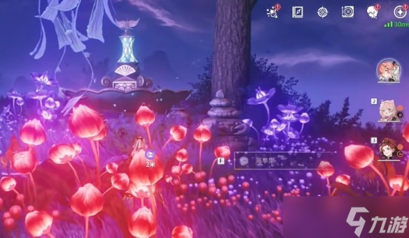 鸣潮幽夜幻梦任务完成攻略指南