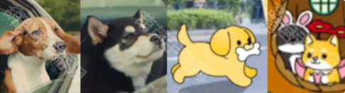 《心动小镇》养狗玩法介绍