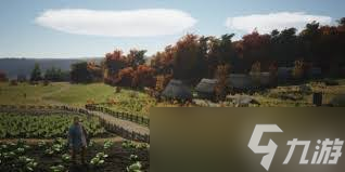 庄园领主如何开两个服饰摊