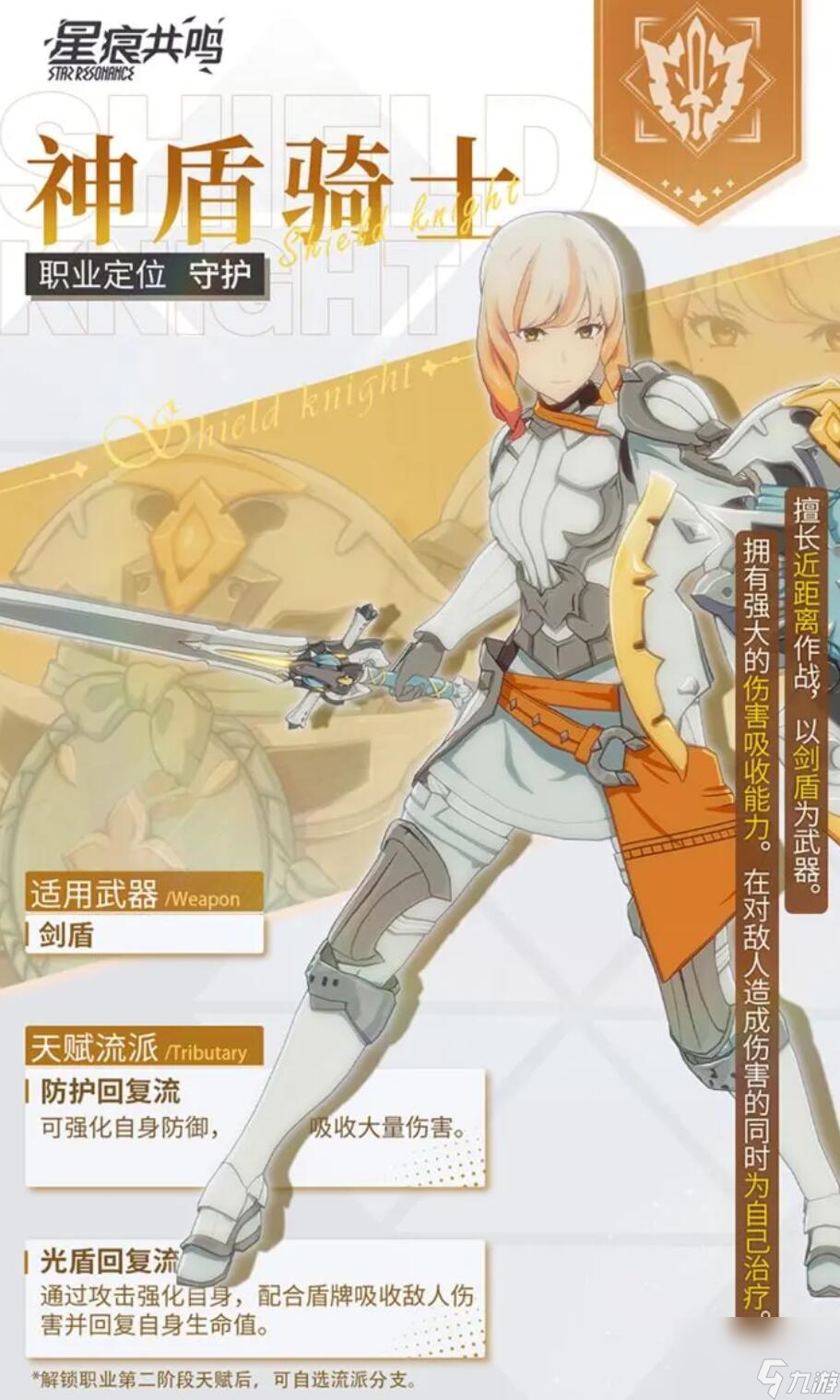 《星痕共鸣》防护流玩法深度解析