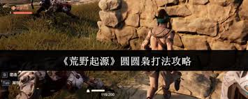 荒野起源中圆圆枭怎么打
