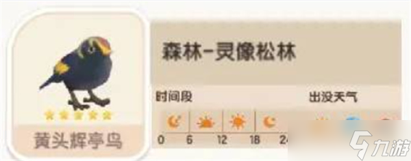 心动小镇黄头辉亭鸟位置图文详情一览