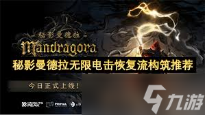 秘影曼德拉如何洗点