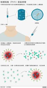 新冠抗体在人体内能存在4个月是真的吗