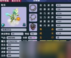 梦幻超级技能一览表最新