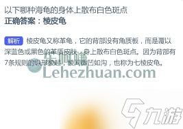 哪种海龟身体散布白色斑点