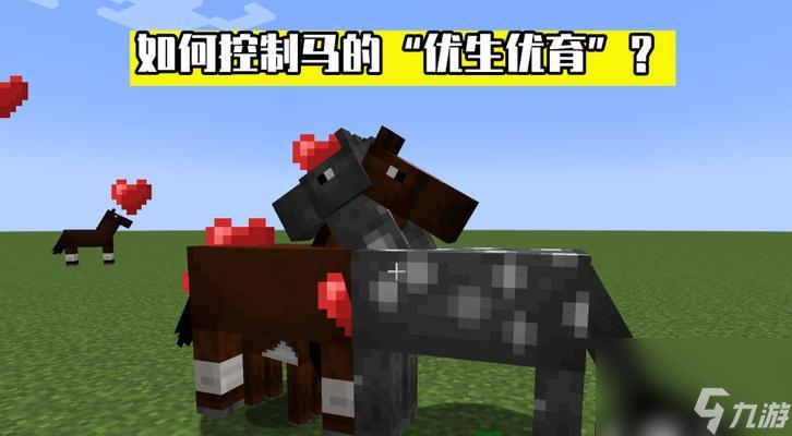 我的世界中马的繁殖方法是什么？