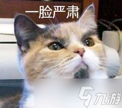 永不言弃2 限时 举国欢庆, 东品游戏“双节”回馈