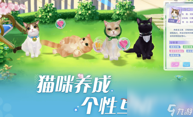 小猫咪游戏哪些值得下载2025 高热度的小猫咪游戏汇总
