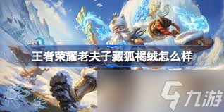 王者荣耀老夫子藏狐皮肤值得入手吗