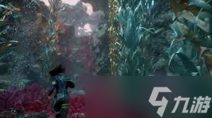 光与影33号远征队飞流域默偶在哪