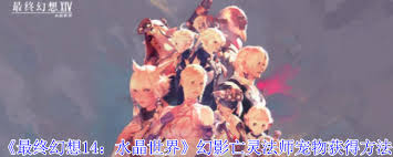 最终幻想14水晶世界幻影亡灵法师宠物获取方法