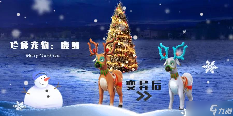 少年悟空传《少年悟空传》新宠物&新坐骑即将强势来袭！少侠们请做好准备
